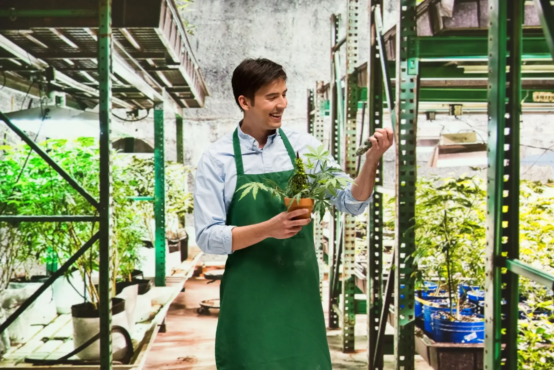 gettyimages-950608050-2048x2048